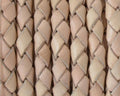 Bolo Braided Round Leather Cord. 5mm. Natural color.