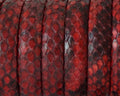 Python skin Leather cord. Half Round. 10x5mm. Red.