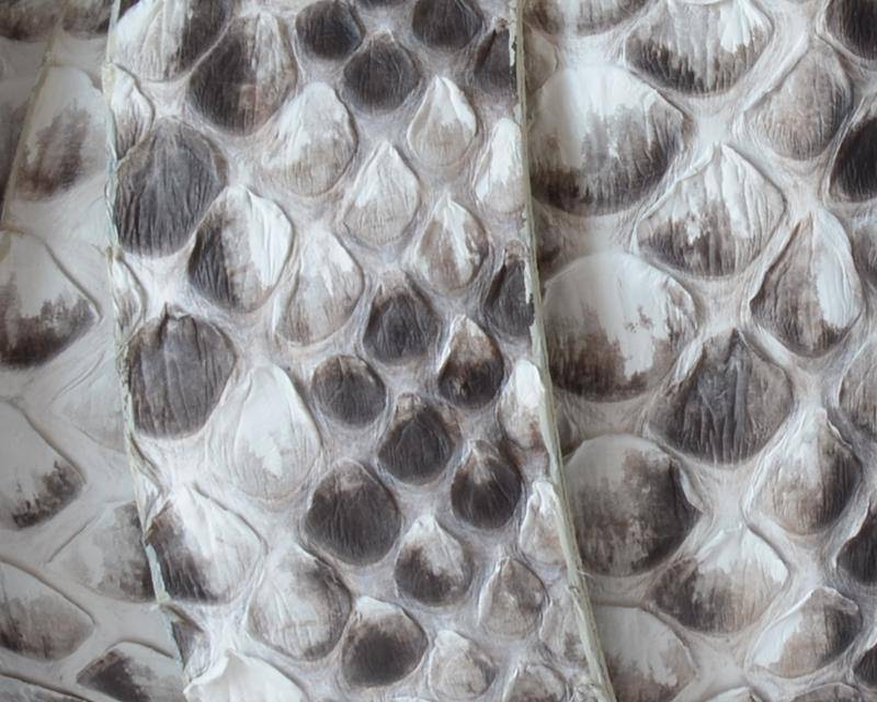 Python skin Leather cord. Flat. 25x2.5mm. White-black. 147cm strand