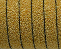 Flat Synthetic Caviar. 10x2.2mm. Gold. Best Quality.