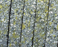 Synthetic Strand. Flat. 10x2mm. Silver-yellow. Best Quality.