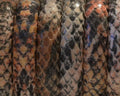 Imitation Snake skin. Synthetic cord. 10x5mm. Red. Best Quality.