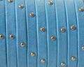 Flat Leather cord. 5x1.5mm. Denver. Turquoise-silver. Best Quality.