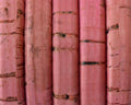 REGALIZ Cork cord. Oval 10x6mm. Pink-t. Best Quality.