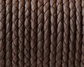 Bolo Braided Round Leather Cord. 3mm. Dark brown. Matt. Best Quality.