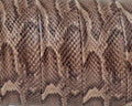 Cloth Flat Cord. 16mm. Snake engraved. Beige. Best Quality.