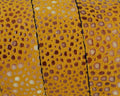 Fish stripe Flat leather cord. 20x2.5mm. Yellow. Best Quality.