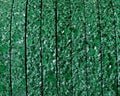 Synthetic fancy cord. Flat. 5x2mm. Green. Best Quality.