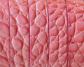 Flat Leather cord. 10x1.5mm. Snake engraved. Pink. Best Quality.