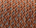 Kangaroo leather Flat braided cord. With chain. 3x1.8mm. Camel.Best Quality
