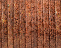 Flat Leather cord. 5x1.5mm. Points. Best Quality.