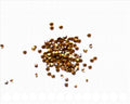 Rhinestone Cabochons. 1.9-2.0mm. Light brown.