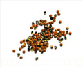 Rhinestone cabochons 2.9-3mm. olive.
