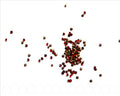 Rhinestone cabochons 1.7-1.8mm. red. 14
