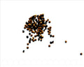 Rhinestone cabochons 1.9-2mm. black. 14