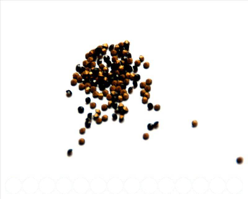 Rhinestone cabochons 1.9-2mm. black. 14