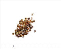 Swarovski. Xilion Chatons 3mm. Light Peach.