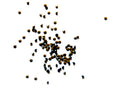Crystal. Rhinestone Chaton. 1,7-1,8mm. Jet.