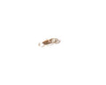 Lobster Claw Clasp 10mm. Silver color.