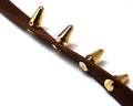 Zamak. 12.5x7mm. Gold color.