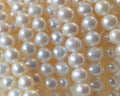 Cultured Freshwater. Round. 8-9mm. White. 40cm strand